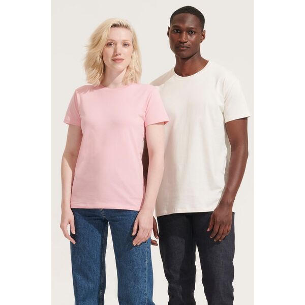 p111-115001043XL