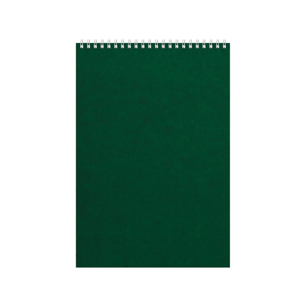 Бизнес - блокнот Альт А4 (198 х 285 мм) "Office" 60 л., зеленый
