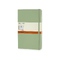 Записная книжка Moleskine Classic (в линейку) в твердой обложке, Large (13х21см), фисташковый