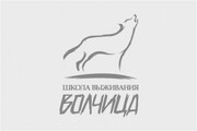 Выживаем