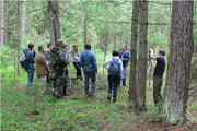 540_blog_wolfin-3