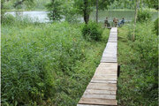541_blog_wolfin-2-1