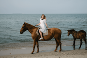 P9095488
