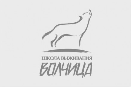 Выживаем